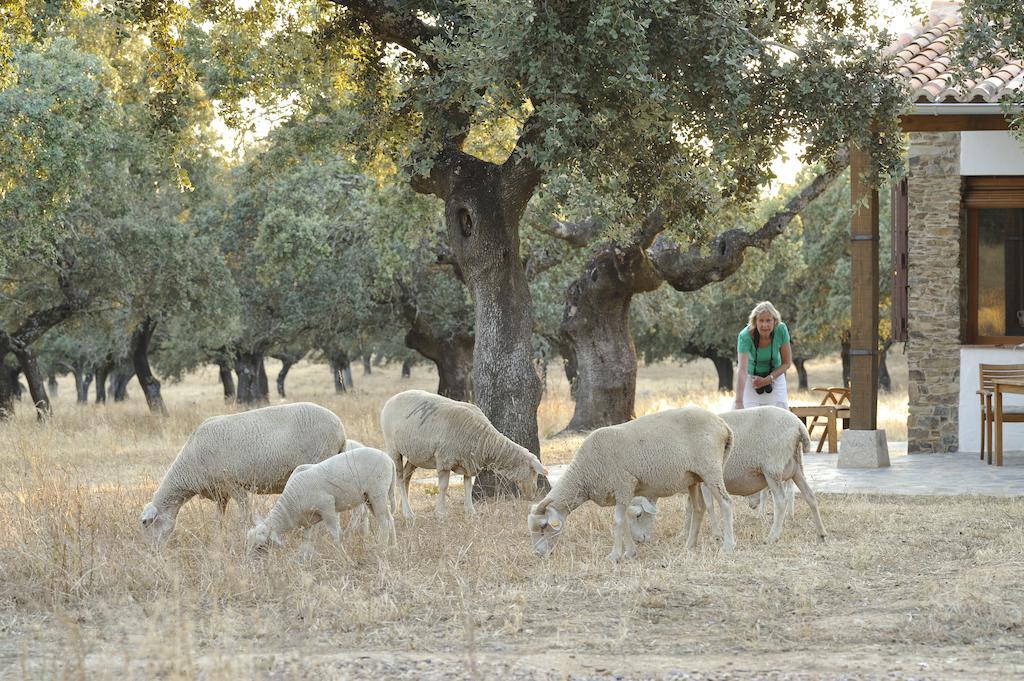 Finca Las Abubillas Jaraicejo Esterno foto